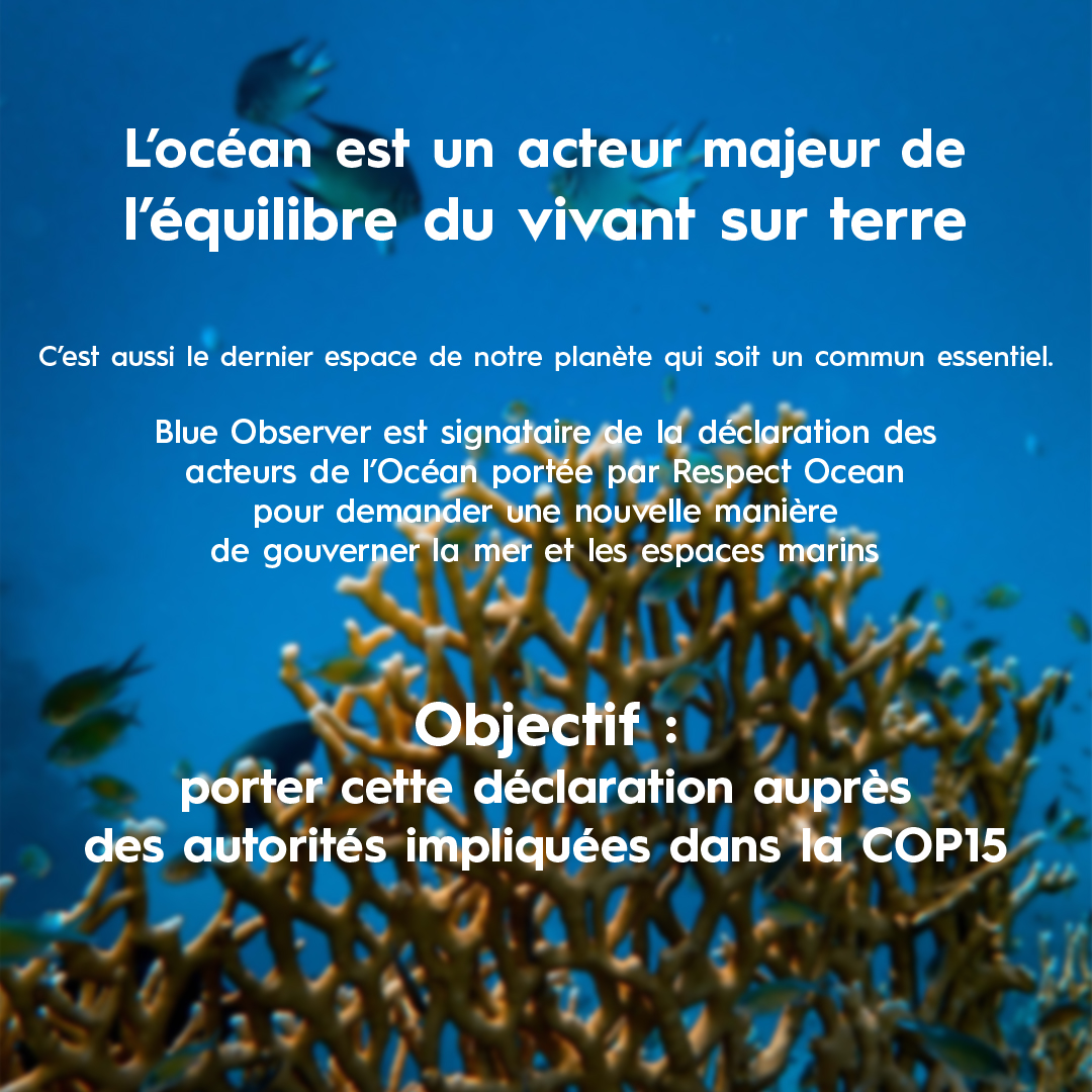 blue_observer's tweet photo. #COP15 | Une conférence majeure des Nations Unies sur la #biodiversite
🖋 Dans ce cadre, Blue Observer est signataire de la Déclaration des Acteurs de l’Océan, initiative française du GPBB portée par @RespectOcean.
#blueobserver #togetherfortheocean #sailingforscience https://t.co/OT3RRnP4b7
