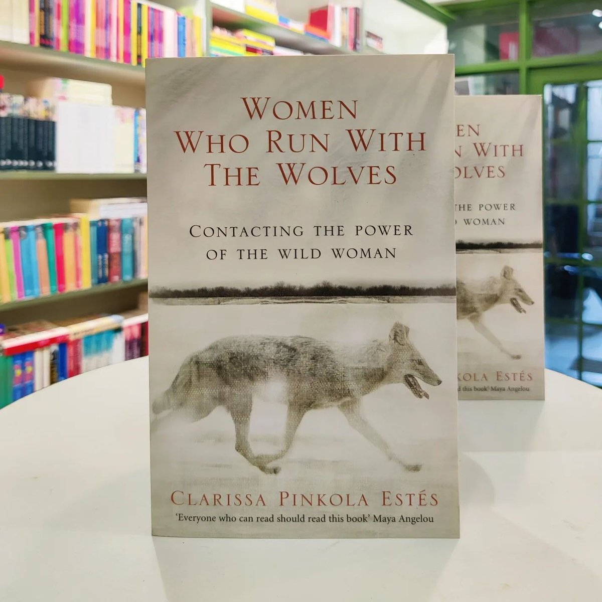 ReadandRise01's tweet photo. NEW YORK TIMES BESTSELLER • One million copies sold! “A deeply spiritual book [that] honors what is tough, smart and untamed in women.”—The Washington Post Book World

#womenwhorunwiththewolves #clarissapinkolaestes  #fiction  #spritual #newyorktimesbestseller  #readandrise https://t.co/2yngmBwGCb
