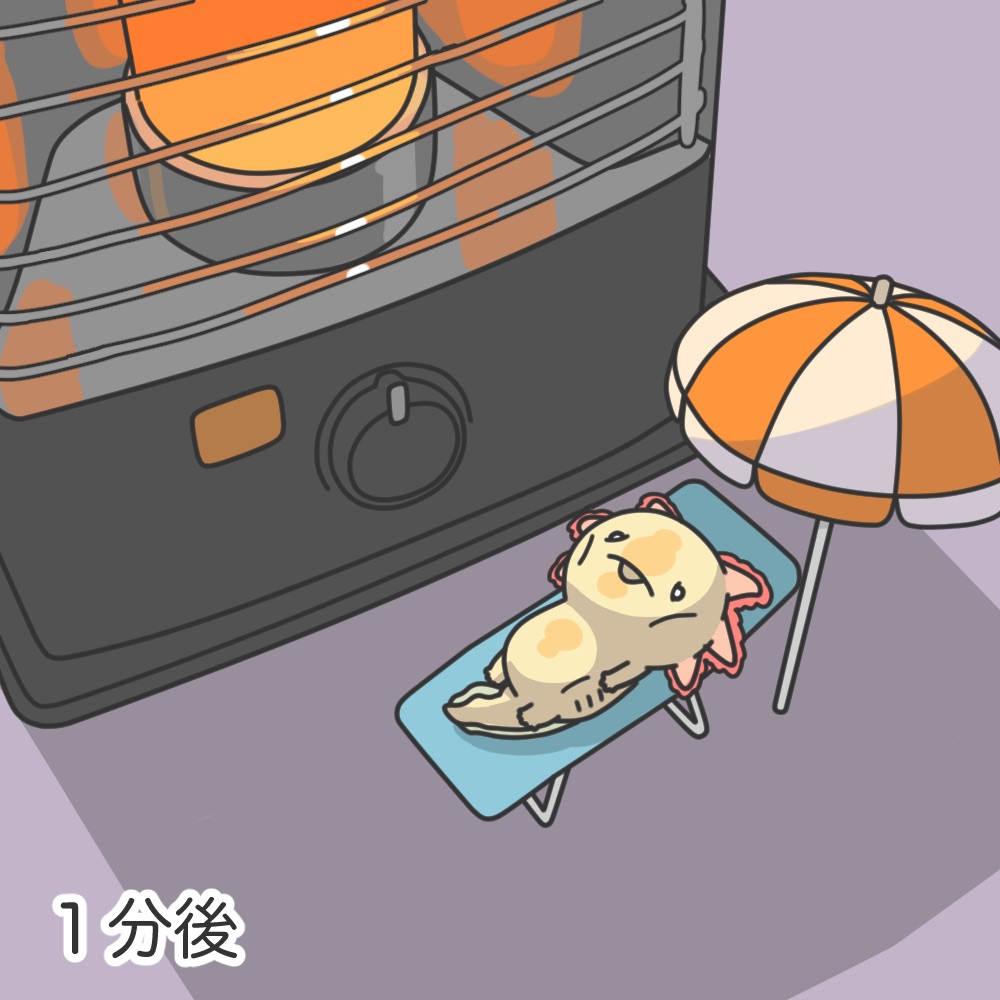 no humans umbrella pokemon (creature) lying beach umbrella cat sweat general  illustration images