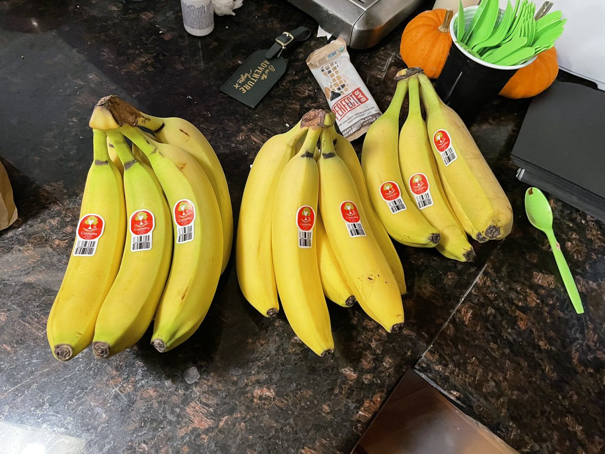 PushingUpRoses 🦇 pushinguproses.bsky.social tweet media