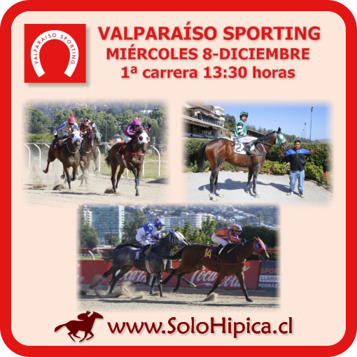 solohipica's tweet photo. VALPARAÍSO SPORTING (Miércoles 7-Diciembre, 13:30 horas) Disponibles Programa PDF Tierra Derecha, Actuaciones FS Repetidos y Pronósticos https://t.co/KY6U2IUCVo #solohipica #ValparaísoSporting #ProgramaPDFTierraDerecha #FSRepetidos #Pronósticos #Hípica #CarrerasDeCaballos #Turf https://t.co/4SE2Cos895