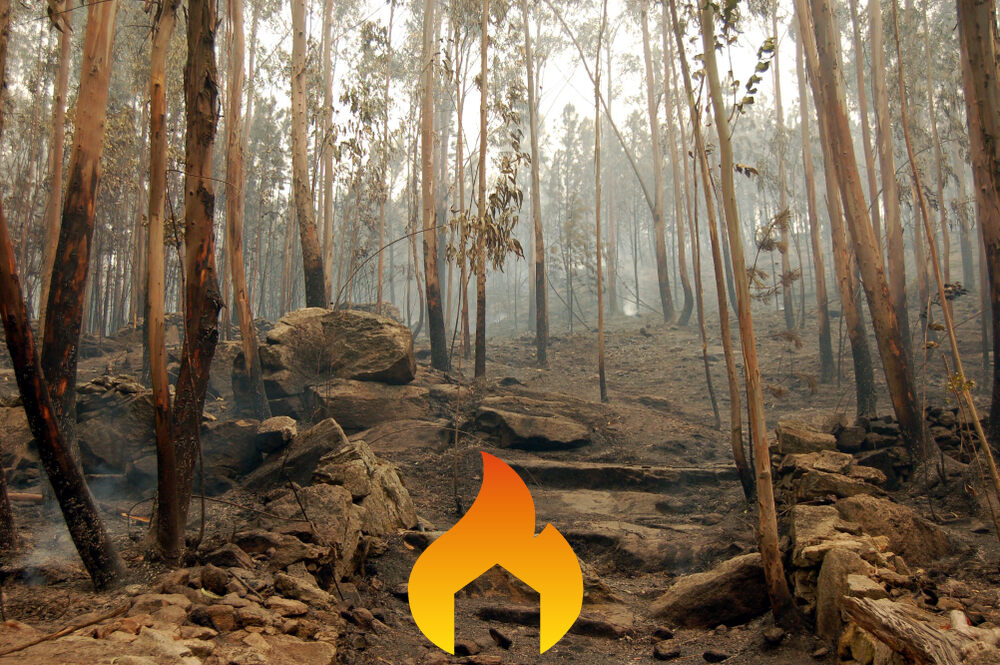 go_interfaz's tweet photo. #GoInterfaz aspira a crear una plataforma web que permitirá conocer para qué se está utilizando el territorio en la interfaz urbano-forestal y para qué se podría utilizar. Así se pueden delimitar acciones de protección y planes de evacuación contra incendios forestales. https://t.co/3lJzm4PYQq