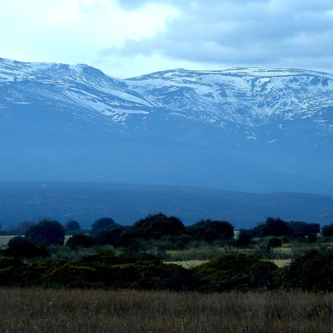 AstorgaNeando tweet media