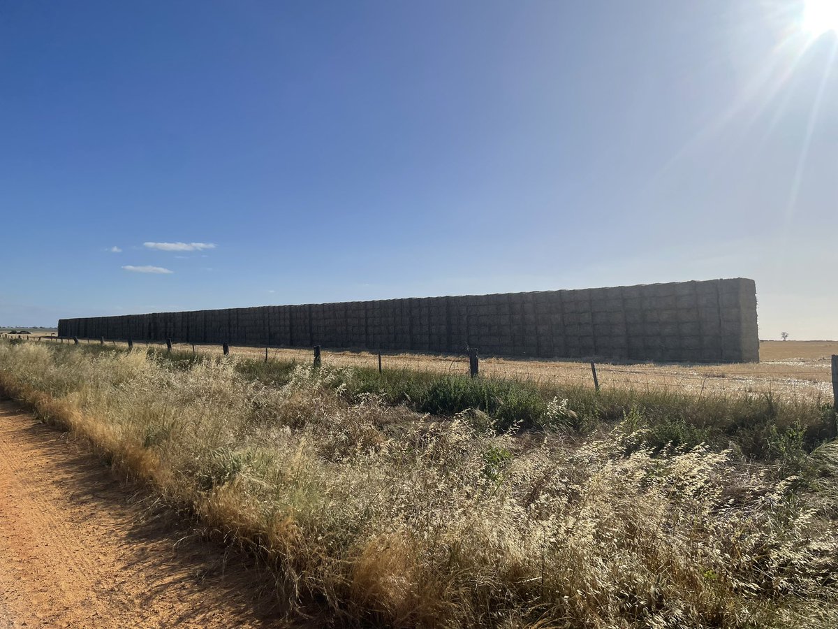 Simon Goode tweet media