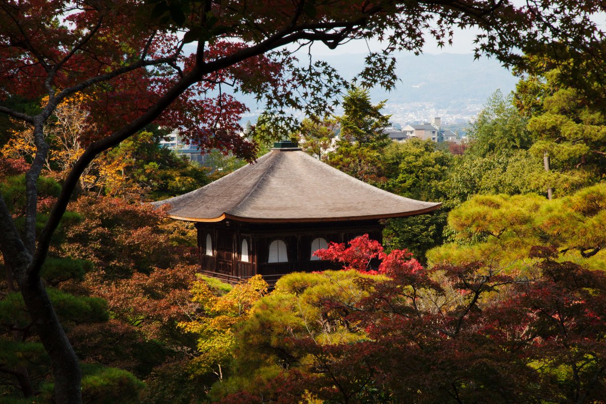 camelliakyoto's tweet photo. Let us end our autumn stroll down The Path of the Philosophy at a temple that needs no introduction...

...Ginkaku-ji (銀閣寺).

#Kyoto #京都 #Japan #Ginkakuji #銀閣寺 #thesilverpavillion #thepathofphilosophy https://t.co/EnErjdBzK6