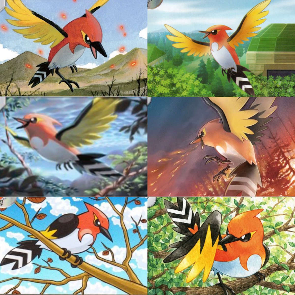 birbd 👍 tweet media