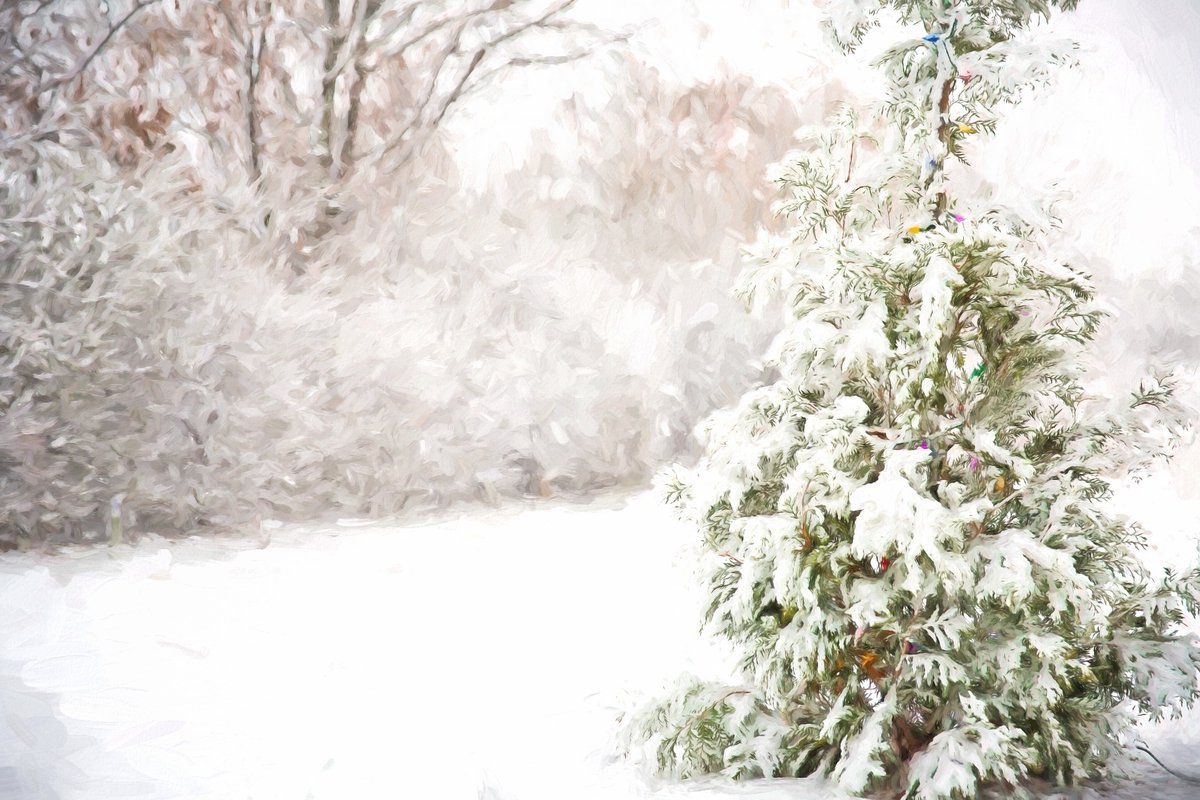 KLewisAdair's tweet photo. #Wednesday Word of the Week

From foundations in Anglo-Saxon, words or phrases and words that are still in use today. 

Snaw – snawgebland – snow - snowstorm

#writers #oldenglish #writingcommunity #writing #HistoricalFiction
https://t.co/DA4FkiQN7r https://t.co/lv8jkZ3qSN