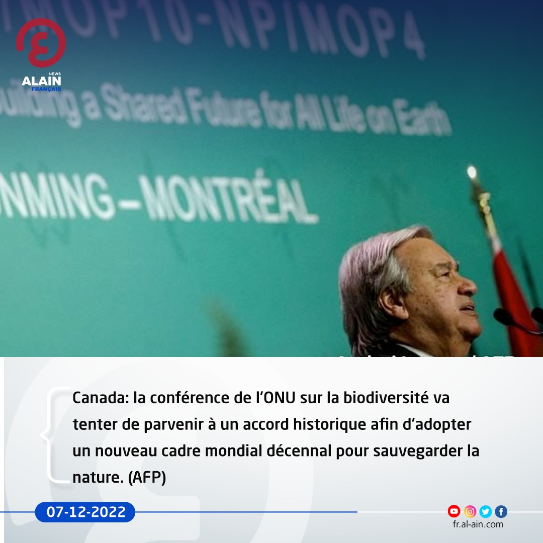 AlainFrNews's tweet photo. #Canada: la conférence de l'ONU sur la biodiversité va tenter de parvenir à un accord historique afin d'adopter un nouveau cadre mondial décennal pour sauvegarder la nature
#Monterial #COP15 #ClimateChange #Climat #TesYeuxSurLeMonde https://t.co/x6UGt0sUt8