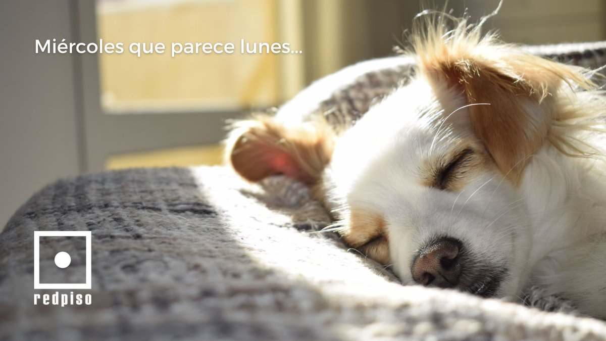 Con un miércoles asi... es mejor quedarse en casa 😴🏡