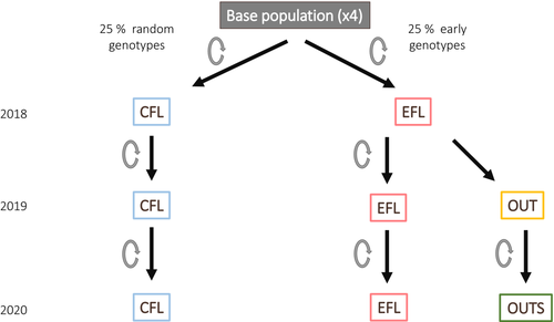 EvolAppJournal's tweet photo. Population origin determines the adaptive potential for the advancement of flowering onset in Lupinus angustifolius L. (Fabaceae)
https://t.co/8HuxFOzhKh
by Sacristan-Bajo et al @S93Sandra @AdApta_Lab 

#adaptive #potential of #plant in the context of #ClimateChange https://t.co/CnK6Ga5XOe