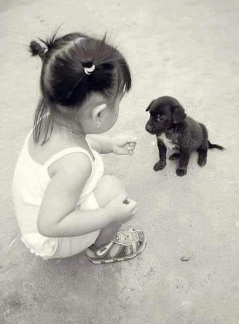 catchquick's tweet image. ''Bakma sen herkesin öyle mutlu göründüğüne, 

 Vicdan diye bir yer var ve orada herkes suçlu