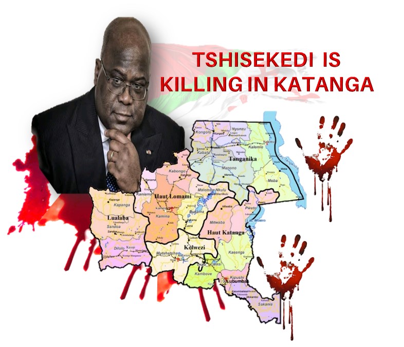 FLORYDA Ngoma™X🦂🇿🇦🇨🇩 tweet media