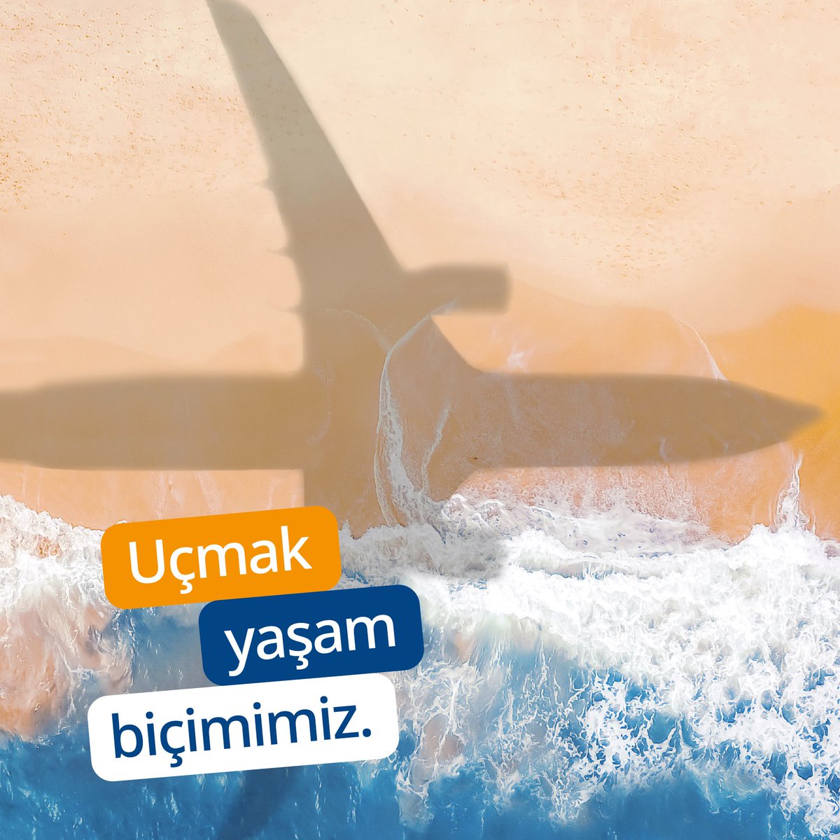 SunExpress's tweet photo. Tüm havacılık tutkunlarının 7 Aralık Uluslararası Sivil Havacılık Gününü kutlarız.🤗Misafirlerimizi her gün sevdikleriyle buluşturmaktan büyük mutluluk duyuyor, işimizi büyük bir tutkuyla yapmaya devam ediyoruz. ✨✈
#sunexpress #iflysunexpress #dünyasivilhavacılıkgünü https://t.co/raPQ7xF924