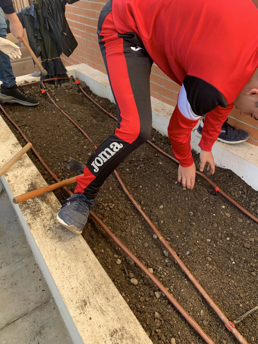 ies_mfr's tweet photo. Esta semana los alumn@s de 2º de ESO han estado sembrando en nuestro ecohuerto guisantes🌱, rábanos y zanahorias 🥕. Falta que germinen las semillas y se formen las plántulas, que tendremos para proteger del frío.
@ProEdAldea @programaaldea #ecohuerto #ProInnovaAldea https://t.co/ve6B48jiWF