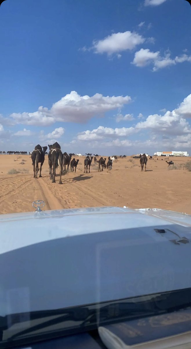 البل لها عندي معزه وتقدير
واحبها من حب عودٍ قناها .