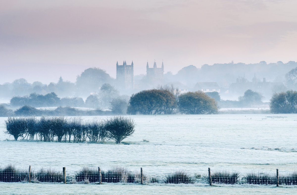 A cold morning at Wimborne #KingstonIsWithYou #dorset #sonyalpha #winter #coldweather #frostymorning #frostbite @SonyUK @SonyUKTEC @StormHour @VisitSEEngland @DorsetMag @kingstontech