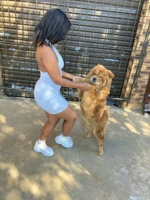 Lebomasek's tweet photo. #single ❤❤ https://t.co/ThLZdLuCPX