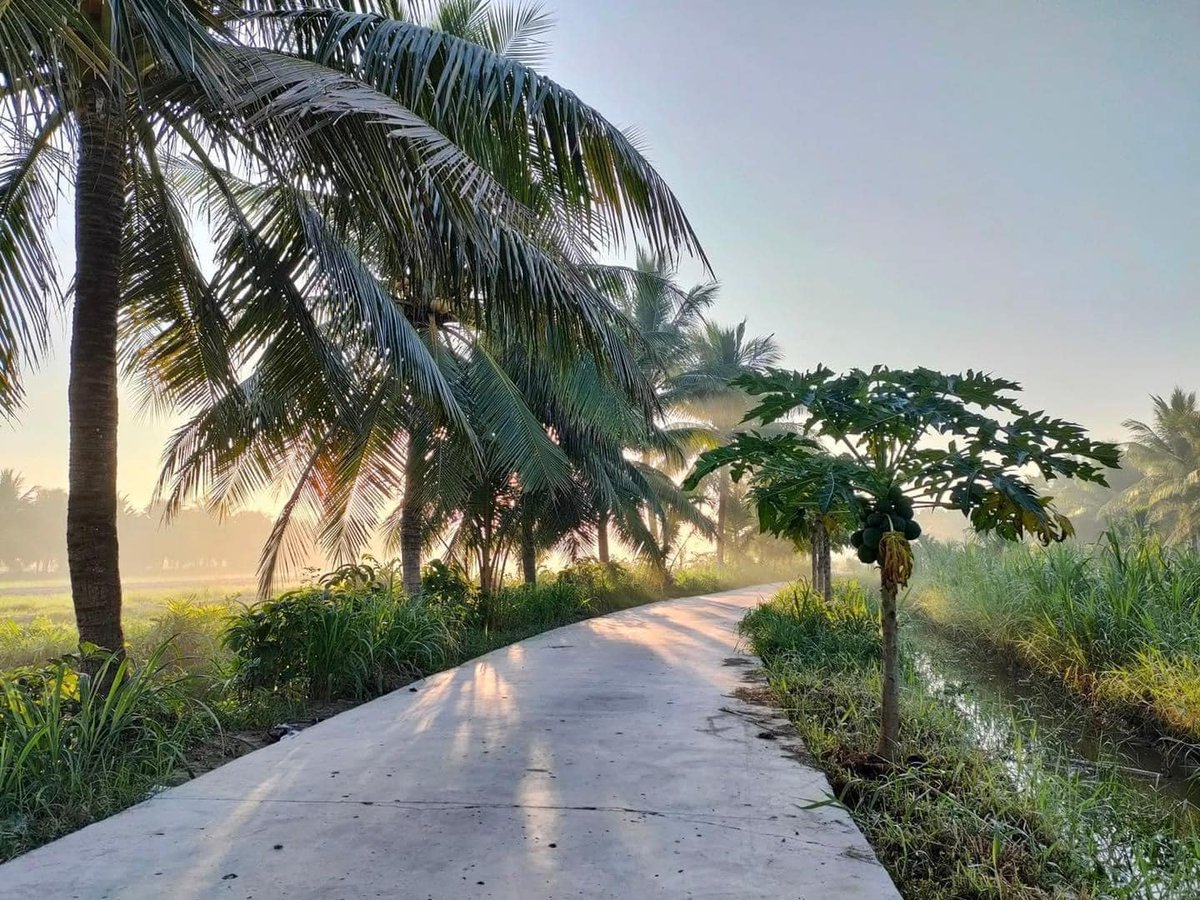 Vietsense_'s tweet photo. With the 85-kilometre southbound journey from central Saigon, on a full-day venture, you will have a chance to get to know Ben Tre - a little off-the-beaten track town with small roads and bridges.
#bentre  #mekongdelta_1_day
#vietsensetravel https://t.co/FoD1WsjERl