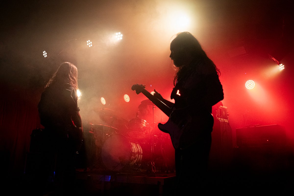 Temple Fang tweet media