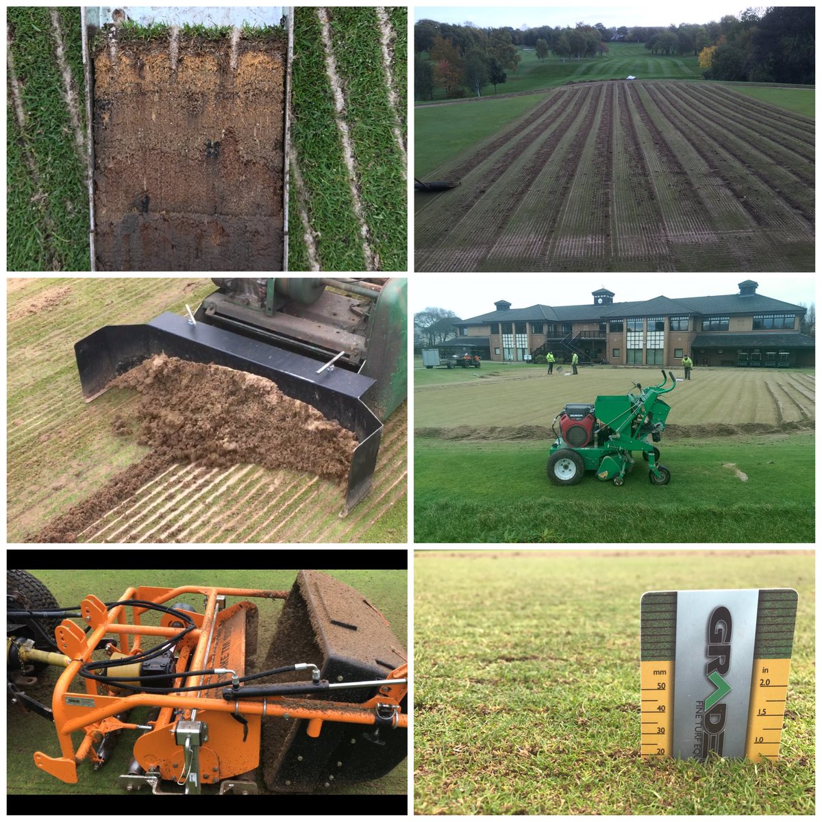 Gibsons greens tweet media