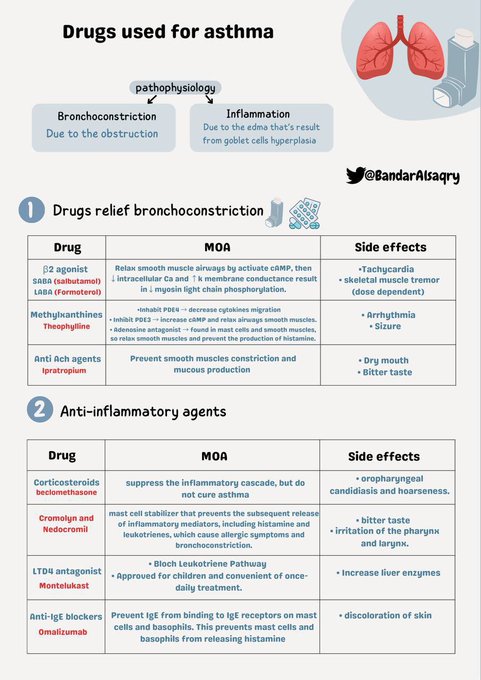 Tweet media two