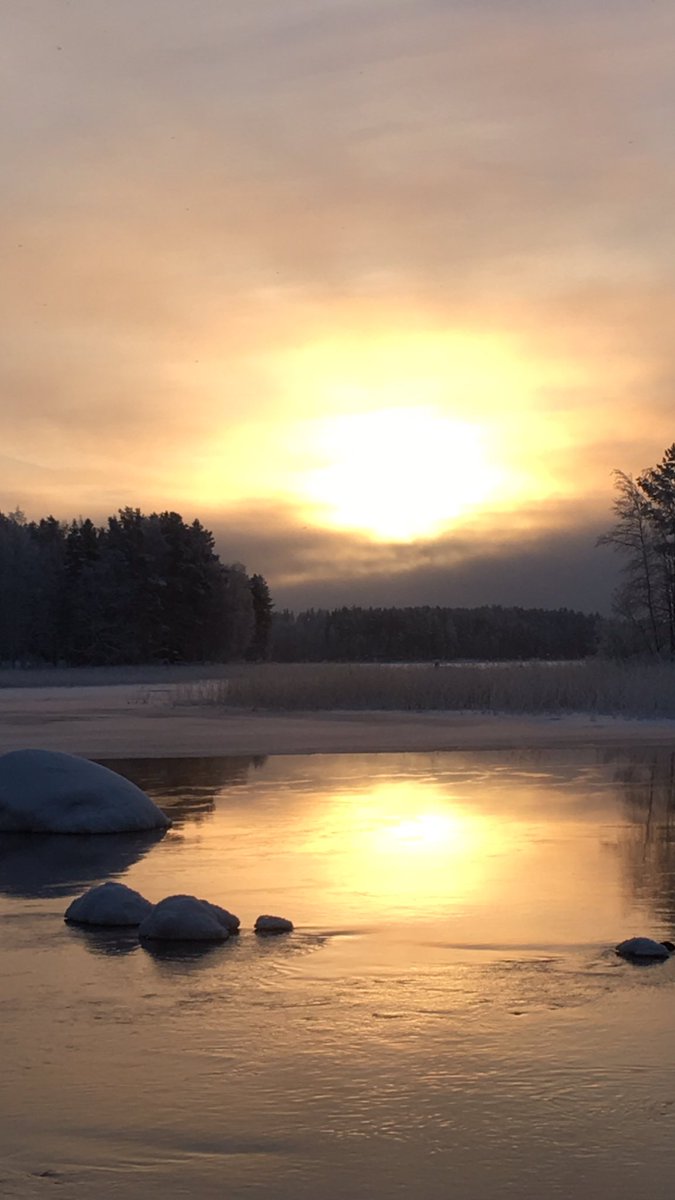 FinlandPictures's tweet photo. Happy Wednesday Twitter!🔥🌅🔥🧡 #wednesday #Finland #desember 🇫🇮 https://t.co/SnO6P3cEhv