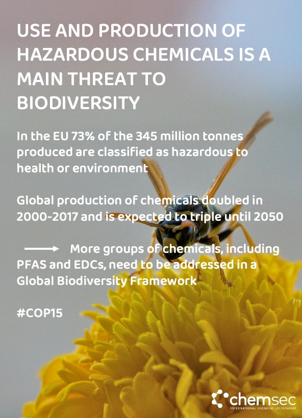 Anna Lennquist tweet media