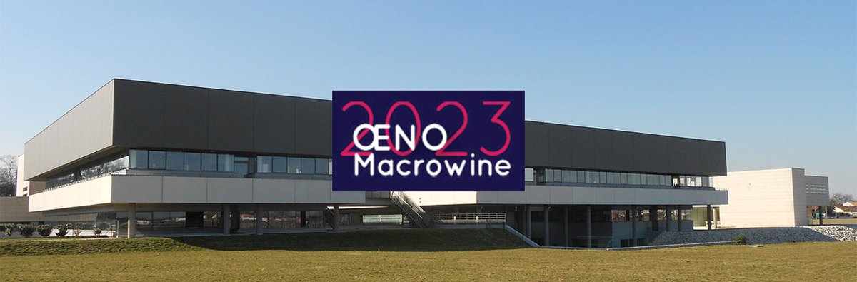 IVES Conference Series tweet media