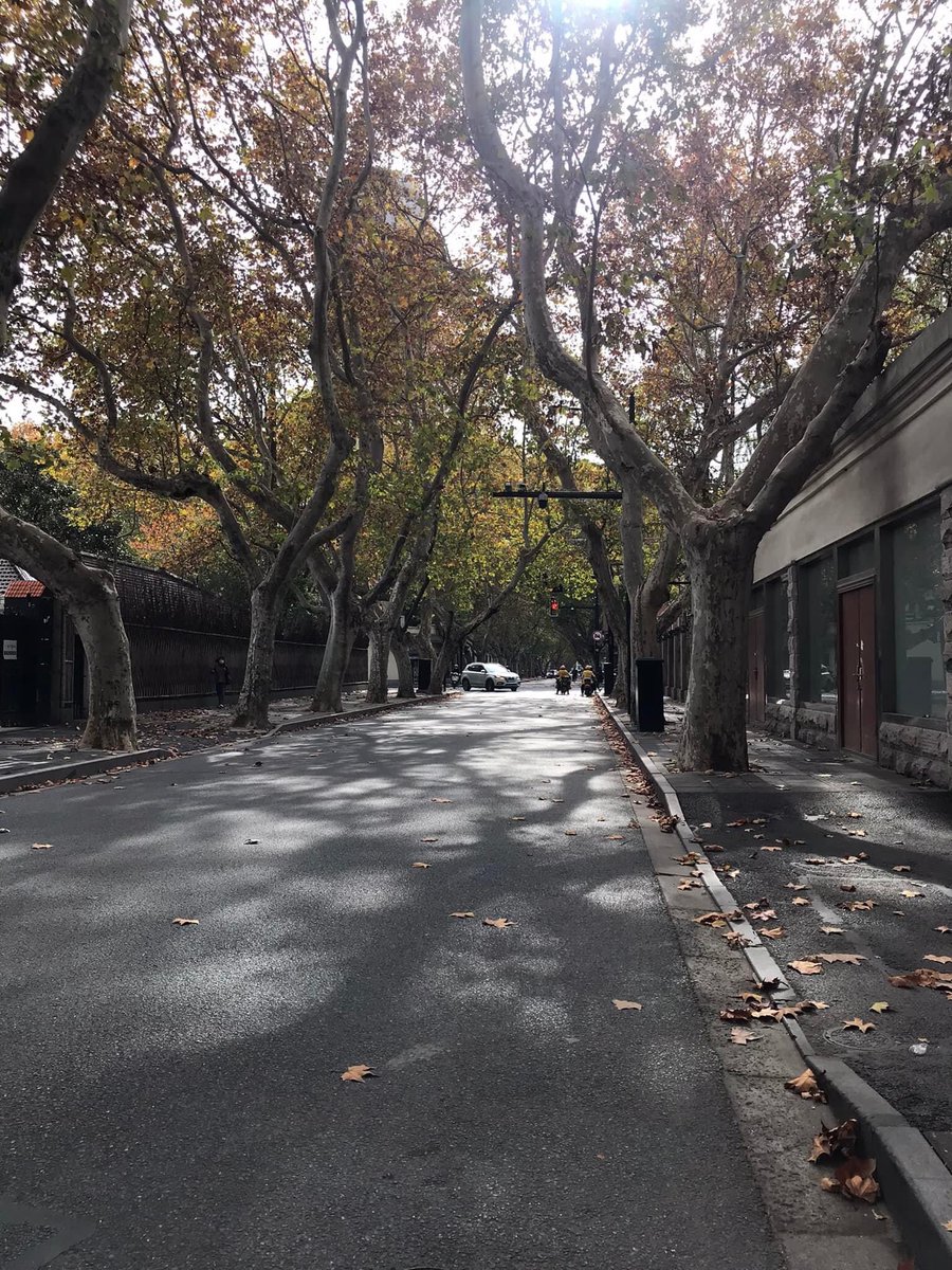 q3p93's tweet photo. 好无聊出来逛逛看能不能偶遇帅哥 #偶遇帅哥 #岳阳路 #少妇御姐 https://t.co/YUFmhMZQ9I