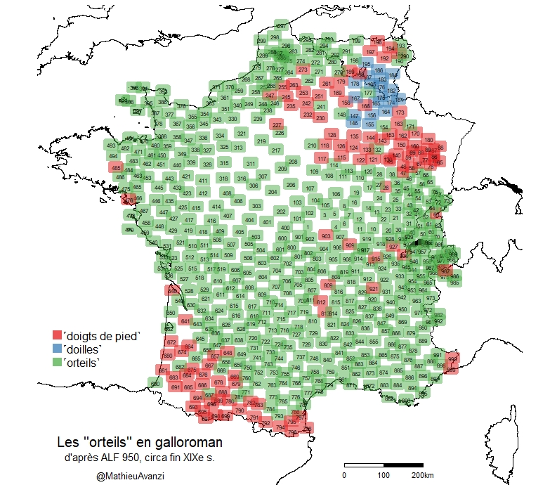 🐾🦶 Carte des dénominations des #orteils dans les parlers galloromans, d'après l'Atlas Linguistique de la France (carte n°950), données récoltées vers la fin du 19e s. Vous dites plutôt #DoigtDePied ou #orteil? [déroulez pour la suite] ⬇️⬇️