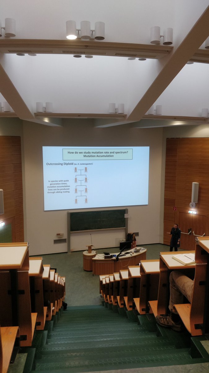 sduarrir's tweet photo. @megbehri opening day 3 of the Experimental Evolution course, talking about how to measure muration rates 🧬🧫🧑‍🔬 #EECV22 https://t.co/A32ckvG3aS