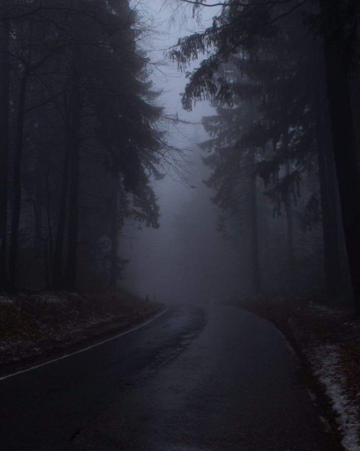 quixink's tweet photo. Tree of Death

— #taekookau Muerte was a quiet town until the mayor's son was murdered, and they soon saw dead bodies, one after the other, under the dead tree. Siglo (jk) recruits members to unravel the town's mystery, including the school's outcast, Yuri (th). https://t.co/dACoxXIbLz