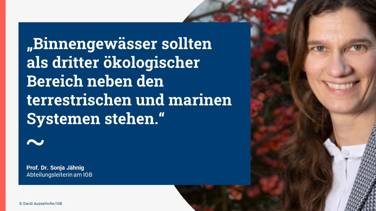 Die Relevanz v. #Binnengewässern wird in d. #Biodiversität|s-#Politik nicht ausreichend berücksichtigt. Einschätzung unserer #Forschenden zum #Weltnaturgipfel #COP15➡️igb-berlin.de/news/binnengew… #Biodiversität #Umweltschutz #Naturschutz #Artenvielfalt #Wasser #Gewässer #Wissenschaft