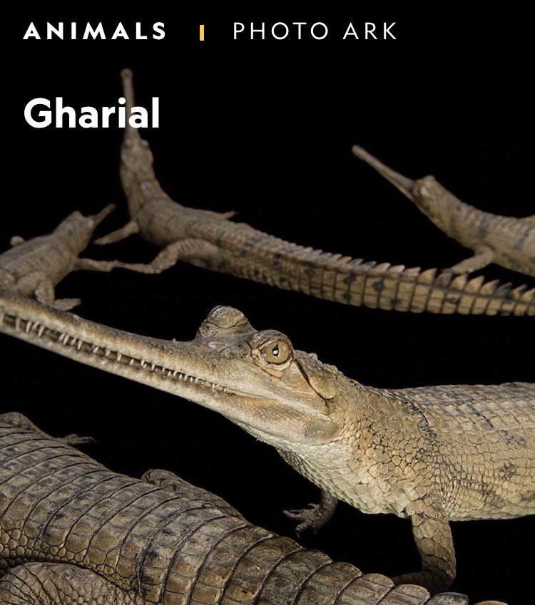 James C. Trager tweet media