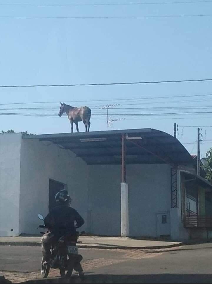 Shitpost só que de verdade (@shitpostverdade) on Twitter photo 