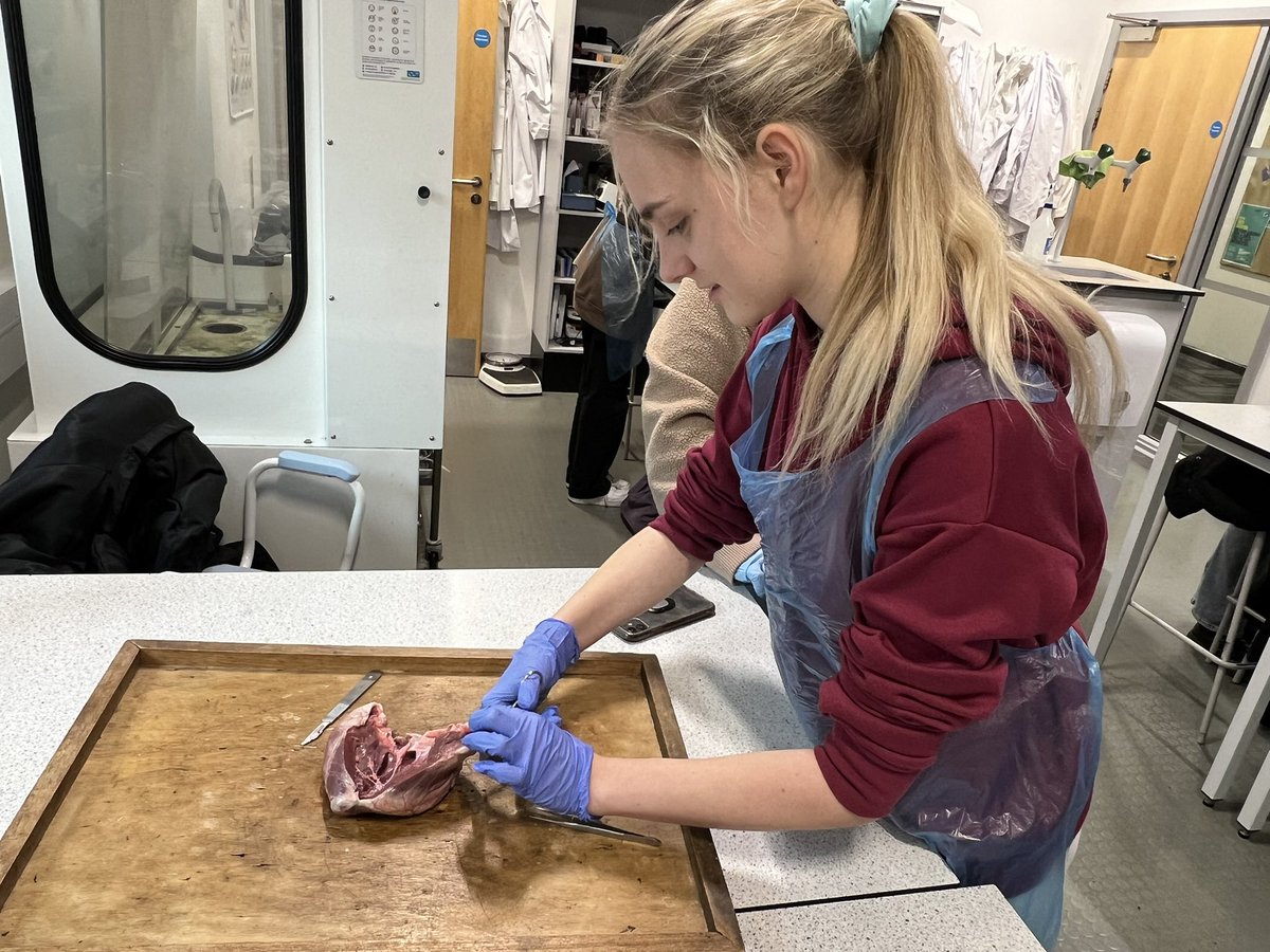 EmmaP_3's tweet photo. Our Access to HE Science students just cannot keep away from the lab this week! Today’s class are doing heart dissections! @gatesheadcoll #science #experiments #accesstohe #highereducation #biology #heartdissection https://t.co/6CcB8HiLiA