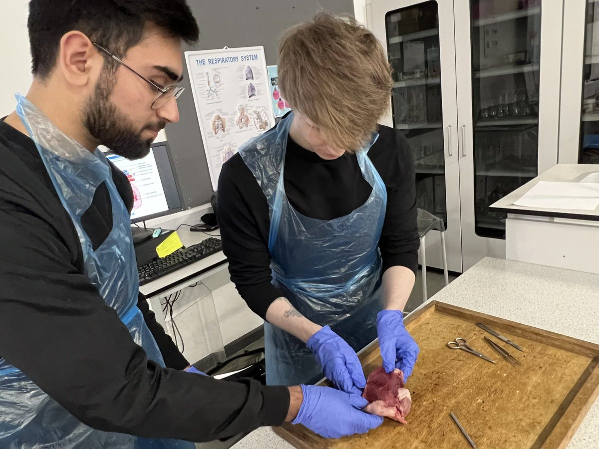 EmmaP_3's tweet photo. Our Access to HE Science students just cannot keep away from the lab this week! Today’s class are doing heart dissections! @gatesheadcoll #science #experiments #accesstohe #highereducation #biology #heartdissection https://t.co/6CcB8HiLiA
