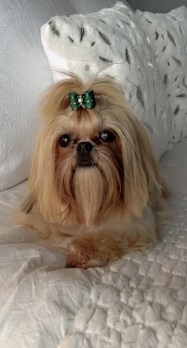 My baby bear is getting so big 🥰