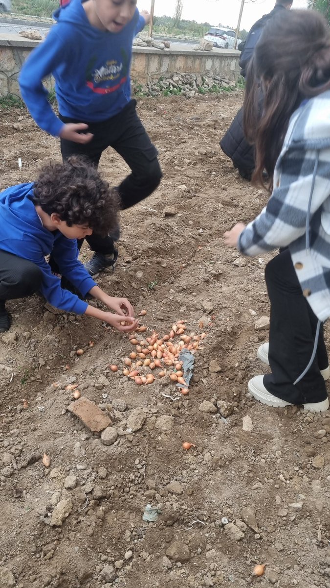 fulyalp's tweet photo. Kapanan köy okullarının tarıma elverişli sahalarını tarim okulu kapsamında öğrencilerimiz ile hayata kazandırıyoruz teşekkürler Silifke Atatürk ortaokulu öğrenci ve öğretmenleri 🥰🥰 https://t.co/8NMfDot01n