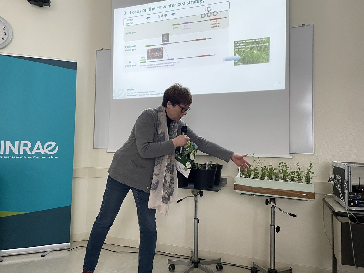 USDAForeignAg's tweet photo. On Day 2 of the Collaboration Platform on Agriculture mtg, 🇺🇸&amp; 🇪🇺 stakeholders &amp; @usda &amp; @EUAgri reps head to the field. First stop is France’s public research institute @INRAE_Intl, where President @JulFosse &amp; team shared their work supporting sustainable, climate-smart farming. https://t.co/U0cghgrGFq