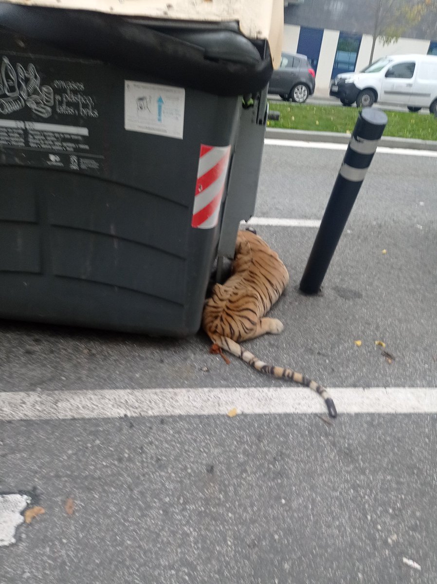 Ahora es peligroso hasta bajar a tirar la basura.
