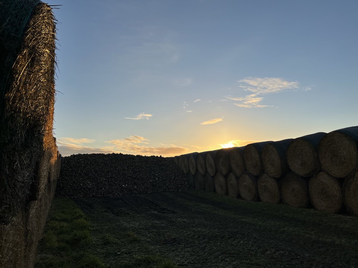 SustEnvFarming's tweet photo. Late night
Early morning
#beet22 @NFUSugar
@thecure
The beat / beet goes on
Grand stuff https://t.co/qZwyUREpy4