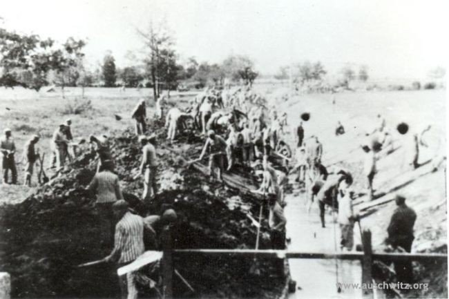 AuschwitzMuseum's tweet photo. 7 December 1943 | The number of male and female prisoners at the Auschwitz camp complex (main camps & subcamps) was 56,082.
See our online lesson to learn about the most important aspects of the history of #Auschwitz: https://t.co/45MCqOlS6A https://t.co/KbOOZWoz4P