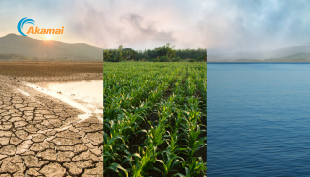 zerosport7's tweet photo. The Accelerator Program, a flagship initiative of @Akamai India’s Corporate Social Responsibility Trust, enables early-stage innovations for water conservation. Read more here. #AcceleratorProgram #AkamaiIndia #ClimateChangeIndia https://t.co/HutCjaz63v https://t.co/gP5I7rzVfo