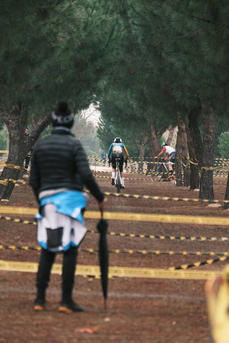 Brain on Wheels tweet media