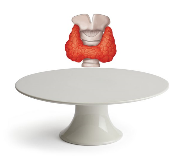 Dr Sally Hicks tweet media