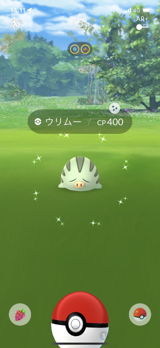 dbd71862449's tweet photo. チコリータとウリムー色��い！
#ポケモンGO https://t.co/8NqHFemIWB