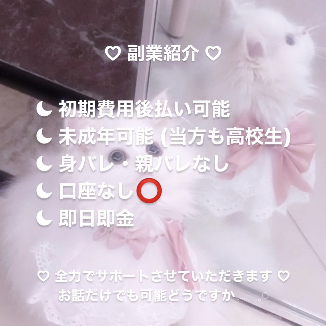u1chan____'s tweet photo. J・Lの情報有り
放置系

 #副業探してます  #副業  #副業紹介  #副業すとぷりすなー  #副業army  #副業LDH  #副業ジャニオタ #副業紹介してます https://t.co/eEqnILazdy