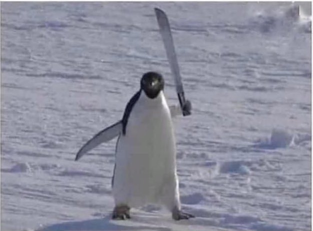 Hace calor, dormí poco y mal. Hoy elegiré el camino de la violencia