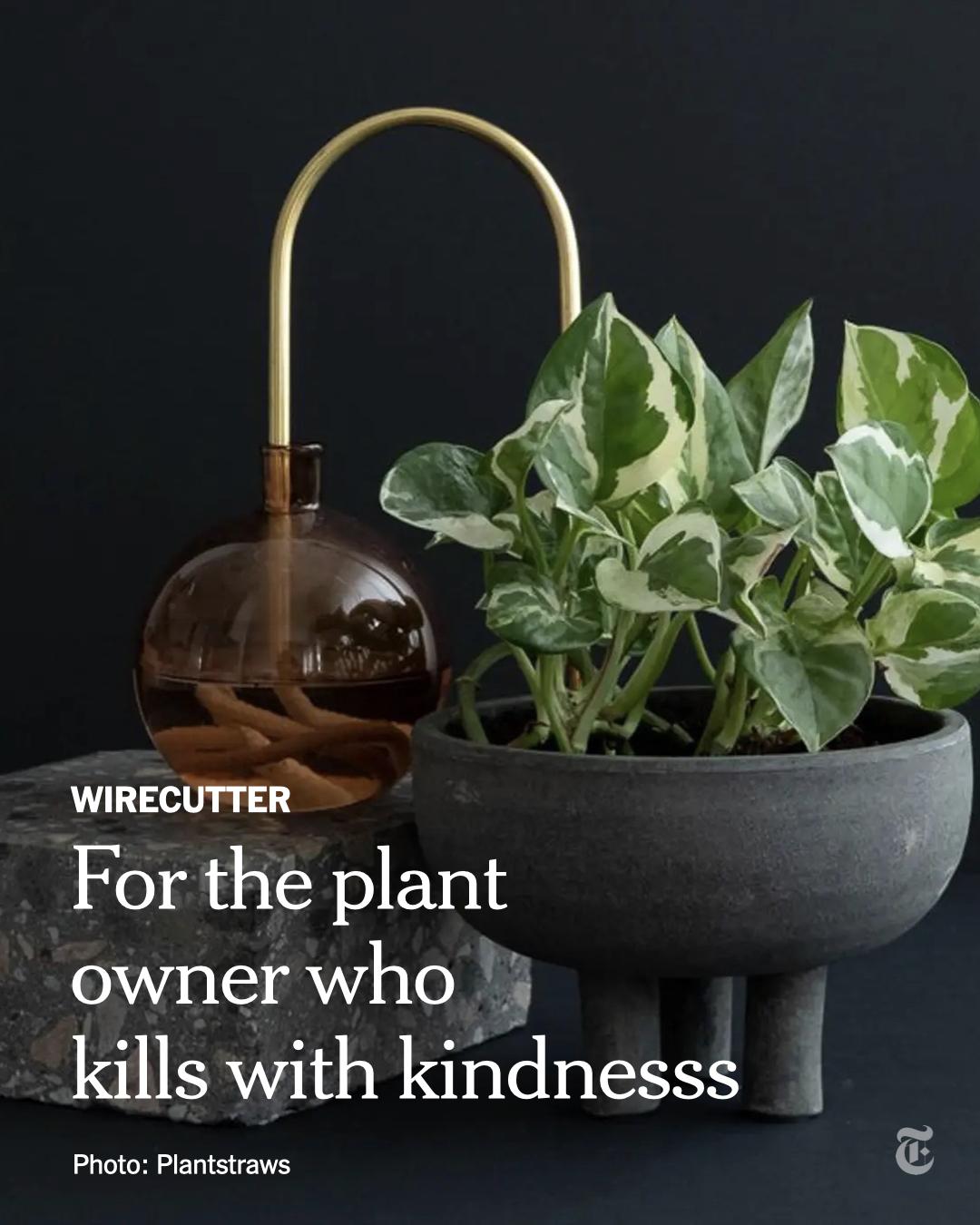 The New York Times on Twitter "Here are 14 gifts chosen by the green